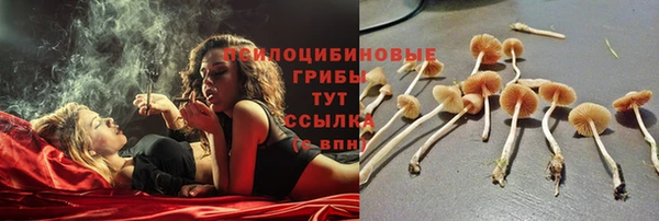 COCAINE Горняк